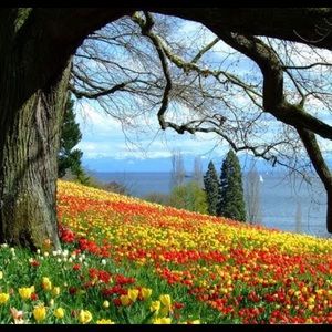 Meet your Posher, Maryam